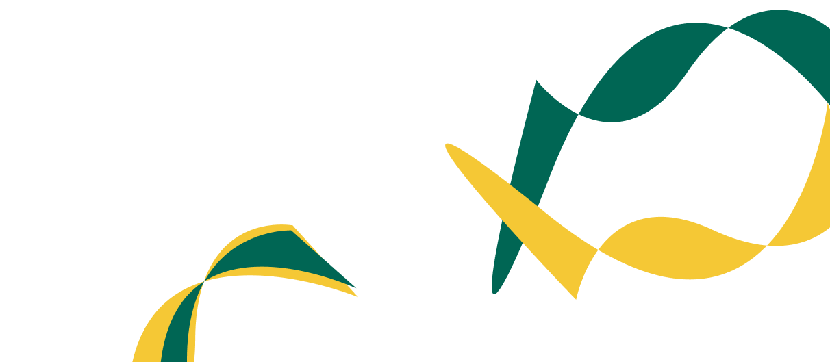 Expert Solutions for Corporate  Financial Success. - 海星体育直播APP