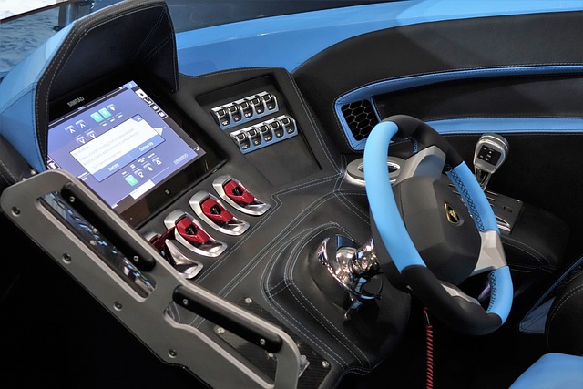 了澳大利亚 了澳大利亚