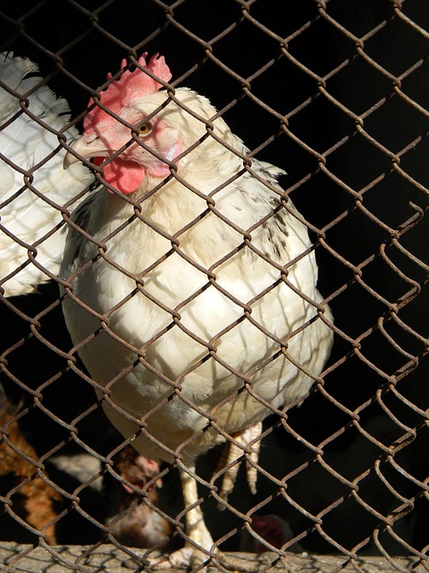 策的重要性 策的重要性