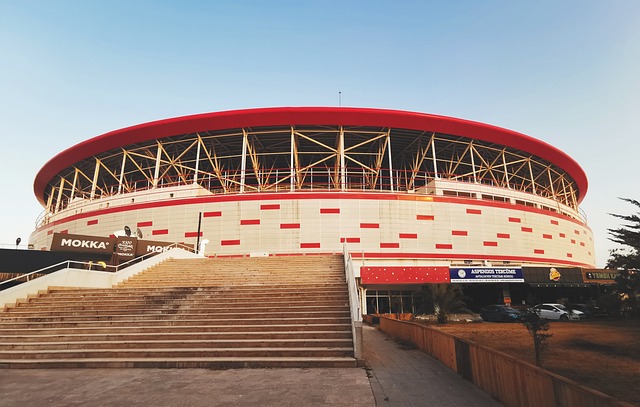 是任何球队 是任何球队