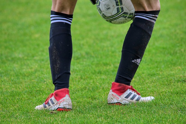 項運動的無 項運動的無