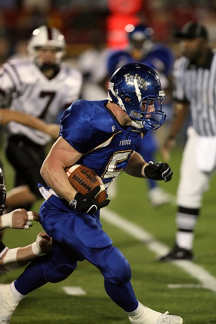 体素质和制 体素质和制